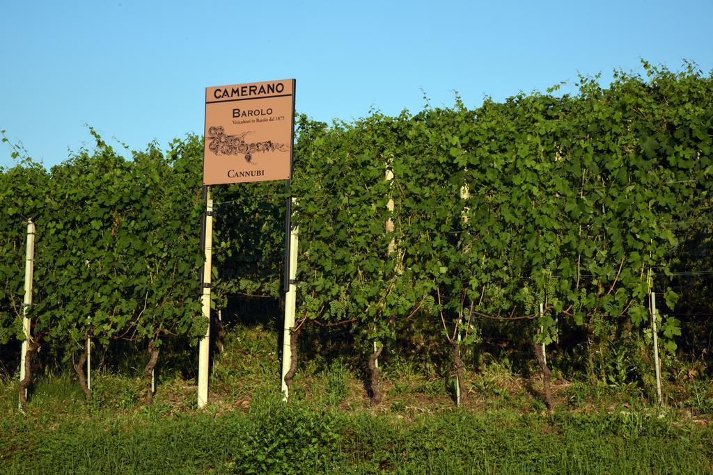 Agriturismo La Terrazza Sul Bosco 巴罗洛 外观 照片